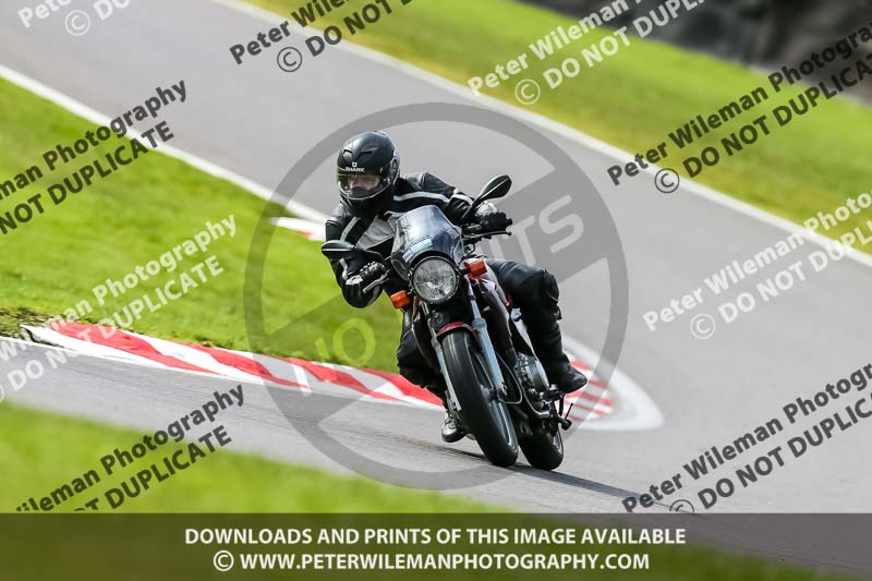 Oulton Park 21st March 2020;PJ Motorsport Photography 2020;anglesey;brands hatch;cadwell park;croft;donington park;enduro digital images;event digital images;eventdigitalimages;mallory;no limits;oulton park;peter wileman photography;racing digital images;silverstone;snetterton;trackday digital images;trackday photos;vmcc banbury run;welsh 2 day enduro